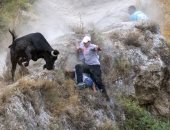 مواجهات مثيرة.. فعاليات كرنفال مصارعة الثيران الشعبي بإسبانيا