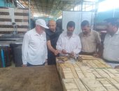 ضبط أسماك مدخنة ولحوم غير صالحة خلال حملة لـ"بيطرى الغربية"