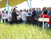 وزير الزراعة ومحافظ كفر الشيخ يطلقان فعاليات يوم الحقل السنوى للذرة والأرز