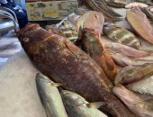 وقار وقاروص وبورى.. .انتعاش حركة البيع فى سوق السمك القديم بالإسكندرية