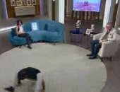 قصص وحركات غريبة داخل واحد من الناس على قناة الحياة