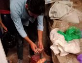 صحة دمياط تشن حملة على المنشآت الغذائية برأس البر