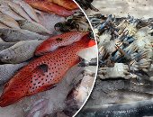 تطورات أسعار الأسماك فى الأسواق اليوم الخميس 6 أكتوبر 2022