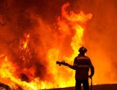 البرتغال تعلن الطوارئ عاما كاملا بسبب حريق دمر 25 ألف هكتار من حديقة أثرية  