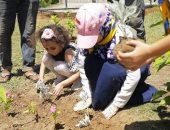 إطلاق مبادرة "غيرها للأخضر" للتوعية بأهمية الحفاظ على البيئة برأس البر.. صور