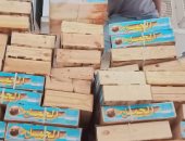 ضبط 12.5 طن أسماك ورنجة منتهية الصلاحية في حمله تموينية بالغربية