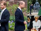 الأميران هارى ووليام يلغيان الاحتفالات العامة بذكرى وفاة والدتهما ديانا