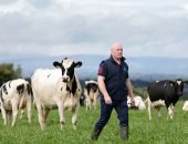 بقر أيرلندا ينتظر الإعدام.. جارديان تحملها مسئولية زيادة الانبعاثات وقلق بين المزارعين