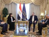 وزير الاتصالات يبحث توفير آليات تتيح للمصريين بالخارج الاستفادة من منصة مصر الرقمية