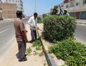 تهذيب أشجار حدائق وشوارع مدينة سفاجا ضمن مبادرة اتخصر للأخضر.. صور