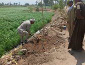 استمرار فعاليات مبادرة زراعة 100 مليون شجرة وحملات تشجير مكبرة بمركز أسيوط