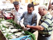 تحرير 51 محضرا تموينيا متنوعا وإعدام كميات لحوم غير صالحة للاستهلاك بسوهاج