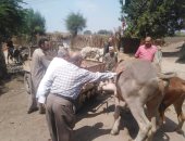 فحص 174 حيوانا و1042 طائرا خلال قافلة بيطرية فى الغربية.. صور