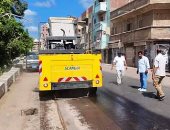 حملات نظافة وتجميل وزراعة أشجار وإزالة الإشغالات بكفر الشيخ