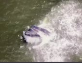 لقطة مذهلة لحوت ضخم يستمتع بتناول طعامه قرب أحد شواطئ نيويورك.. فيديو