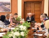 محافظ بورسعيد يناقش الاستعدادات النهائية لمشروعات مبادرة المشروعات الخضراء