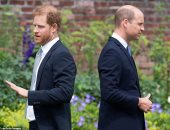 "مافيش ثقة".. الأمير وليام لا يخطط لمقابلة شقيقه هارى أثناء زيارته لبريطانيا