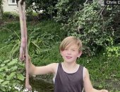 طولها متر.. طفل نيوزيلندى يعثر على دودة أرض عملاقة فى فناء منزله