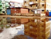 سقوط أمطار متقطعة خفيفة على عدد من قرى كفر الشيخ.. فيديو وصور