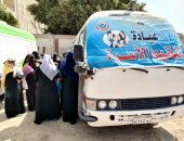 "صحة المنيا": تقديم خدمات تنظيم الأسرة والصحة الإنجابية لـ126 ألف سيدة