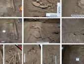 دراسة حديثة: البشر أجروا عمليات بتر الأطراف منذ العصر الحجرى.. صور