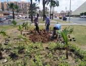 تطوير ورفع كفاءة حدائق المنتزه أول ضمن مبادرة" 100 مليون شجرة "بالإسكندرية