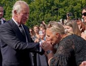 الملك تشارلز الثالث يلتقى بالمهنئين خارج قصر باكنجهام.. فيديو وصور