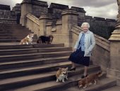 كلاب الملكة إليزابيث تجد منزلا ملكيا جديدا.. "‏BBC‏" تكشف التفاصيل