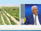 "صباح الخير يا مصر" يحتفي بـ"عيد الفلاح المصري" في الذكرى الـ 70.. فيديو