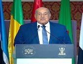 رئيس مجلس الشيوخ: اجتماع القاهرة رمز ونبراس على صلابة إرادة أبناء أفريقيا