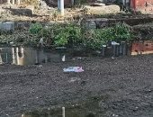 أهالي حى الضواحى ببورسعيد يشكون من طفح مياه الصرف.. ورئيس الحى ترد