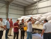 حملات نظافة لاستقبال الأرز في المواقع بمراكز محافظة كفر الشيخ.. صور