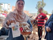 فحص 329 حيوانا و 3200 طائر خلال قافلة بيطرية فى المحلة بالغربية.. صور