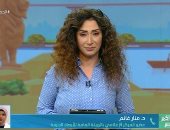 الأرصاد: ارتفاع طفيف فى درجات الحرارة اليوم.. فيديو
