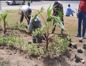 محافظ الإسكندرية: زراعة 5600 شجرة مثمرة بشوارع وميادين أحياء المدينة