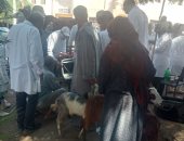 فحص 248 حيوانا و2230 طائرا خلال قافلة بيطرية في قطور بالغربية.. صور
