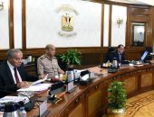 الحكومة توافق على اعتبار مشروع شركة "جريفولز إيجيبت لمشتقات البلازما" قوميا