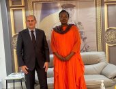 سفير مصر لدى إنجامينا يطلع وزيرة تشادية على التجربة المصرية بـ"حياة كريمة"