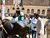 جامعة سوهاج تواصل تنفيذ قوافلها البيطرية المجانية لقرى حياة كريمة 
