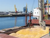أوكرانيا: الصادرات الزراعية عبر الموانئ البحرية تتجاوز 4.1 مليون طن