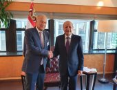 أبو الغيط يلتقى رئيس المجلس الرئاسى اليمنى.. ويؤكد: الحل السياسى السبيل لحل الأزمة