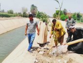 اتحضر للأخضر.. زراعة 80 ألف شجرة على الطرقات وجوانب الترع المبطنة بسوهاج.. وإنشاء 6 حدائق عامة على مساحة 8850 مترا وفتحها بالمجان للجمهور.. والمحافظ: نصيب المحافظة 3 ملايين شجرة ضمن "زراعة 100 مليون شجرة".. صور