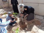 شمال سيناء تنفذ مبادرة اتحضر للأخضر.. ومتطوعون يزرعون تينا وزيتونا بمطرانية العريش