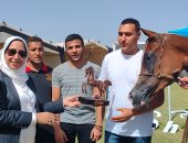 تعرف على نتائج مسابقة الجمال لمهرجان الشرقية للخيول العربية