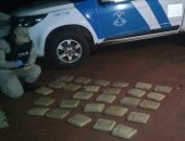 الأرجنتين تفكك عصابة مخدرات خبأت 5 أطنان من الماريجوانا فى بالات برسيم