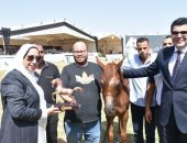 مجسمات لحصان جامح.. تعرف على جوائز الفائزين بمسابقة جمال الخيول بمهرجان الشرقية