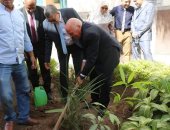 نقيب المعلمين يغرس الأشجار المثمرة بمدارس أسوان تنفيذا للمبادرة الرئاسية 100 مليون شجرة