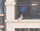 شاب صينى ينقذ طفلة قبل سقوطها من شرفة منزلها بالطابق السابع.. فيديو وصور