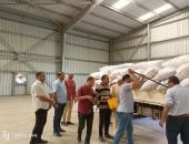 "التموين": استلام 8314 طن أرز بـ 21 موقعا في كفر الشيخ