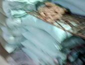 ضبط 125 ألف رغيف و3 أطنان دقيق بلدى مدعم في الغربية 